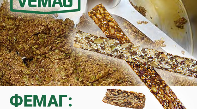 Vemag